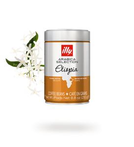 250 גרם פולי קפה חד זני illy Monoarabica Ethiopia 100% arabica(חד זני) חוזק 3/10 250 גרם פולי קפה חד זני illy Monoarabica Ethiopia 100% arabica(חד זני) חוזק 3/10